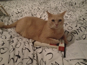 My kitty, Buff Buff, pretending to read the AP Stylebook makes me say, "Aw."